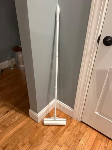 Luna - Extra Large Lint Roller photo review