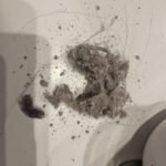 Mattress Vacuum Cleaner : UV Bed Vacuum Cleaner 500W 13Kpa Strong Suction, High Heating Tech, Deep Cleaning Bed Vacuum for Sofa/Bed/Fabric Surface(Corded,120V) photo review