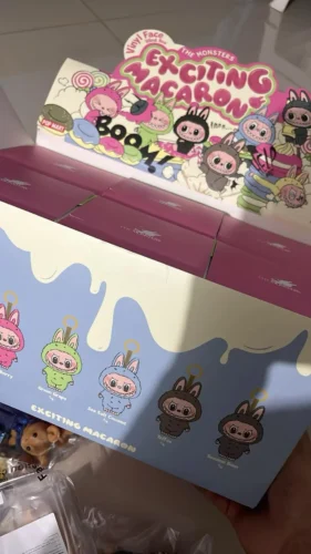 Protective Acrylic Case For Labubu V1/v2/v3  Transparent Portable Organizer Box Mystery Box Storage Case Display Bag photo review