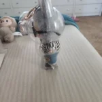 Protective Acrylic Case For Labubu V1/v2/v3  Transparent Portable Organizer Box Mystery Box Storage Case Display Bag photo review