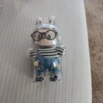 Protective Acrylic Case For Labubu V1/v2/v3  Transparent Portable Organizer Box Mystery Box Storage Case Display Bag photo review