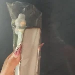 2025 New Ins Cartoon Cute 3d Labubu Handheld Rope Phone 16 Promax Phone Case For iphone 15 14 13 12 11 Pro Max Anti Fall Cover photo review