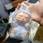 Protective Acrylic Case For Labubu V1/v2/v3  Transparent Portable Organizer Box Mystery Box Storage Case Display Bag photo review