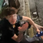 Protective Acrylic Case For Labubu V1/v2/v3  Transparent Portable Organizer Box Mystery Box Storage Case Display Bag photo review